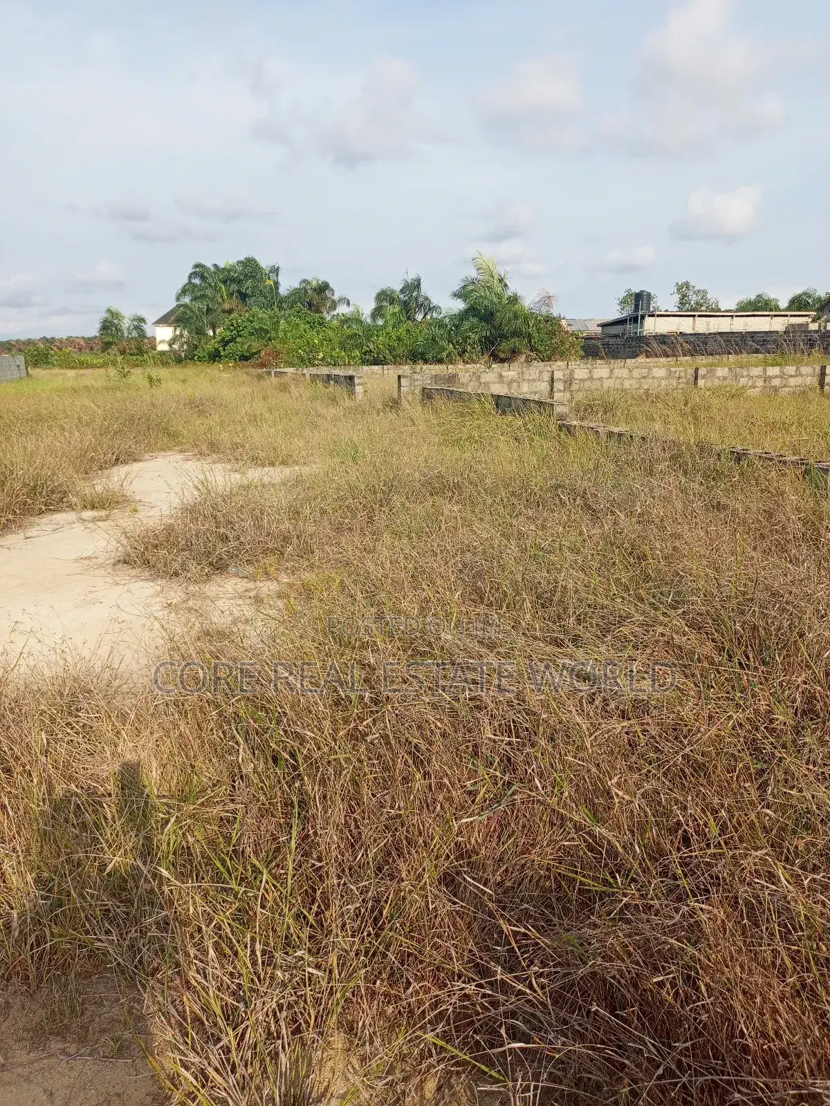 Land for Sale in Ogua Community Benin City