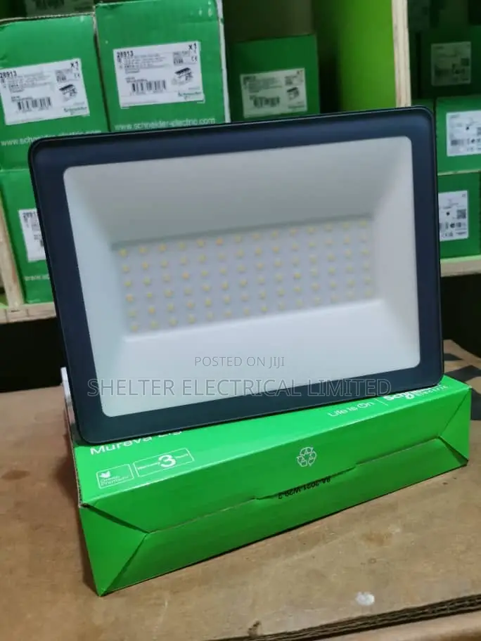 Schnieder 50 Watts Flood Light