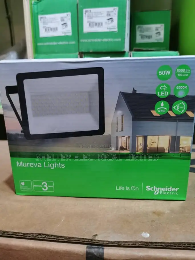 Schnieder 50 Watts Flood Light