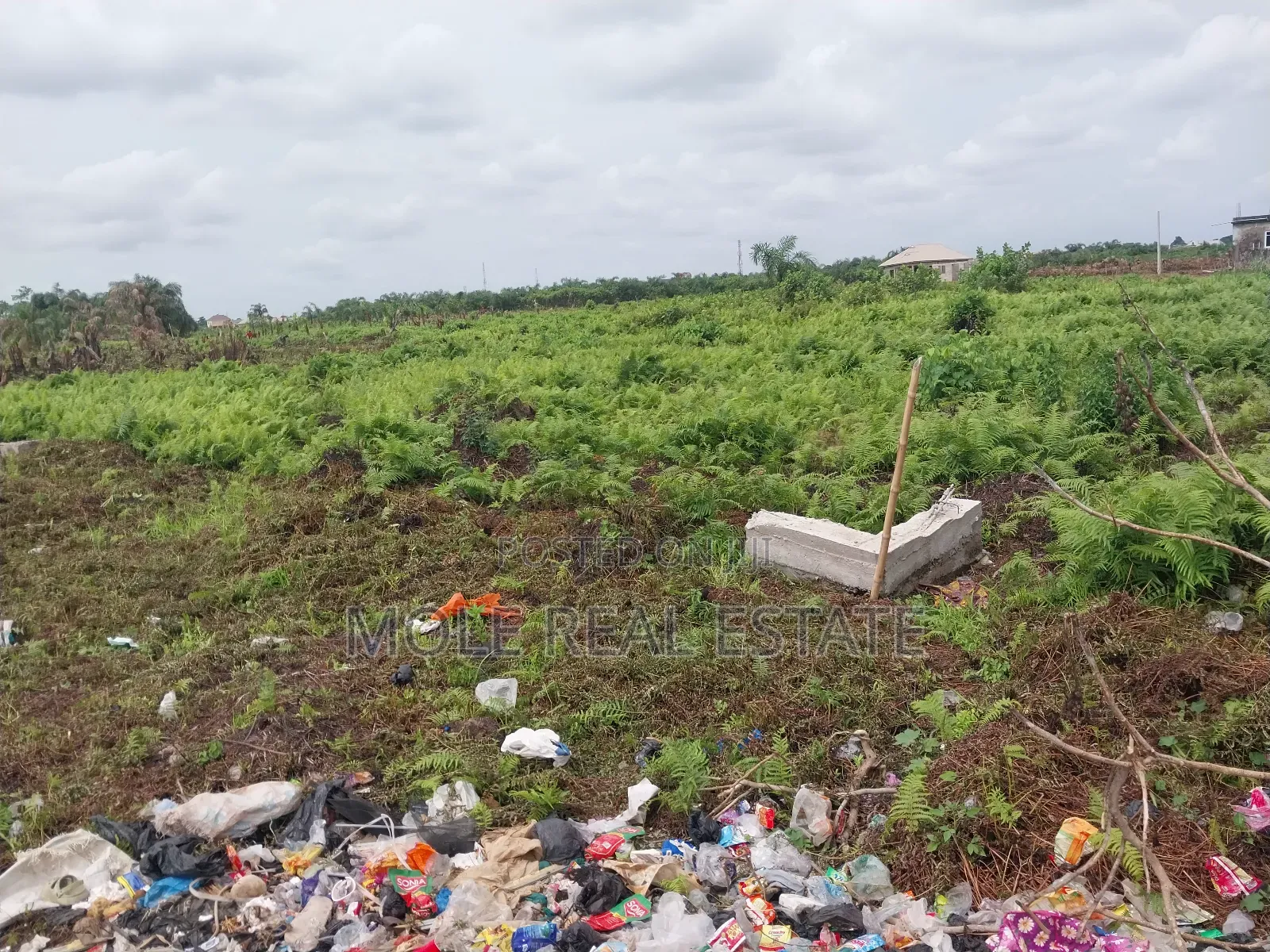 Plots of Land Ijegun-Ijegemo 10% Deposit