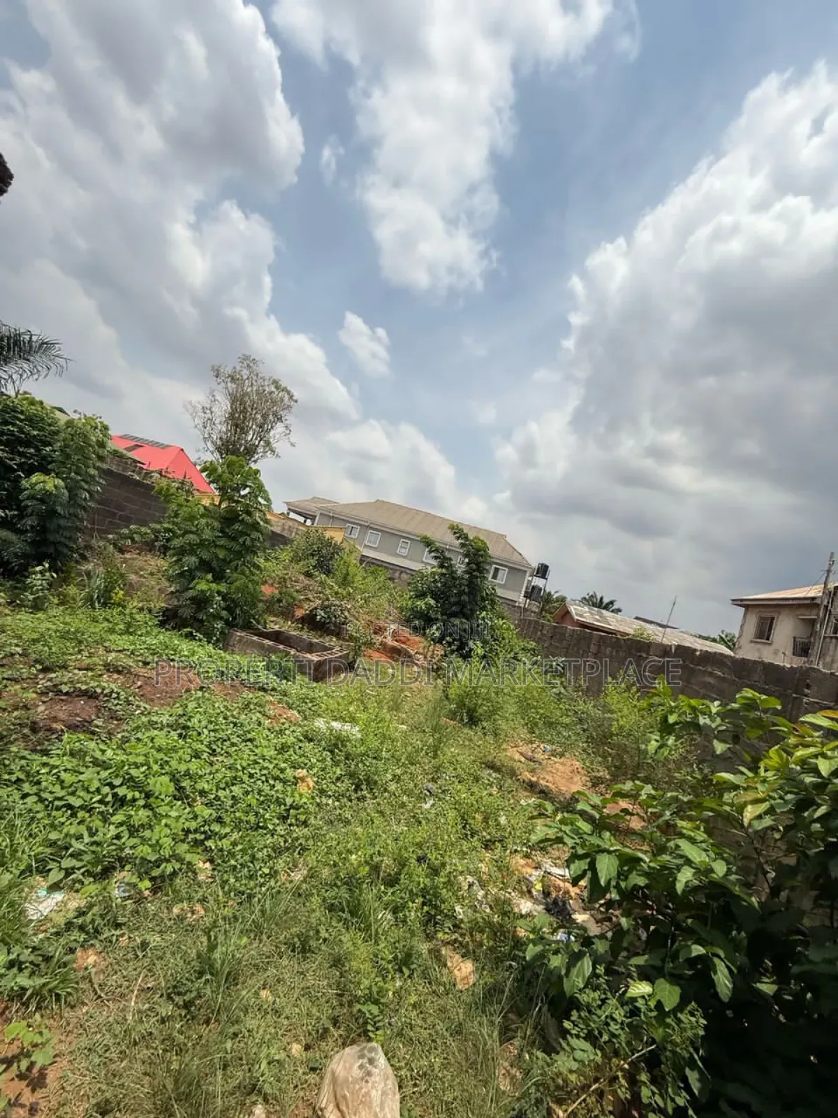 Dry Land Measuring 40 by 120ft in an Estate