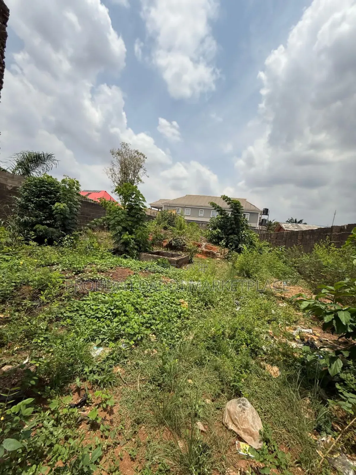 Dry Land Measuring 40 by 120ft in an Estate