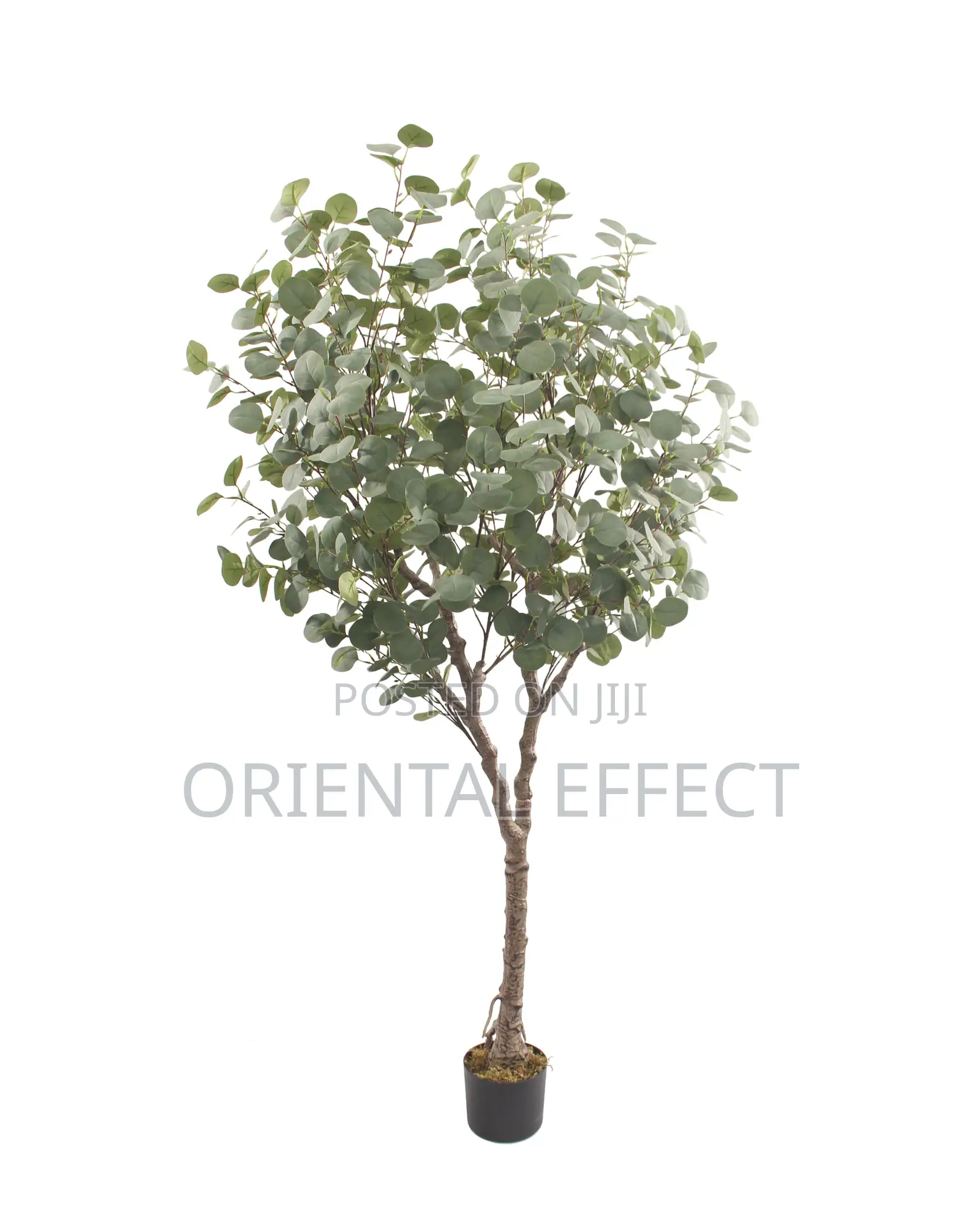 Twin Eucalyptus Artificial Plant – 185cm