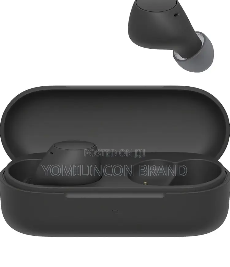 Sony Wf-C510 Truly Wireless in-Ear Bluetooth Earbuds