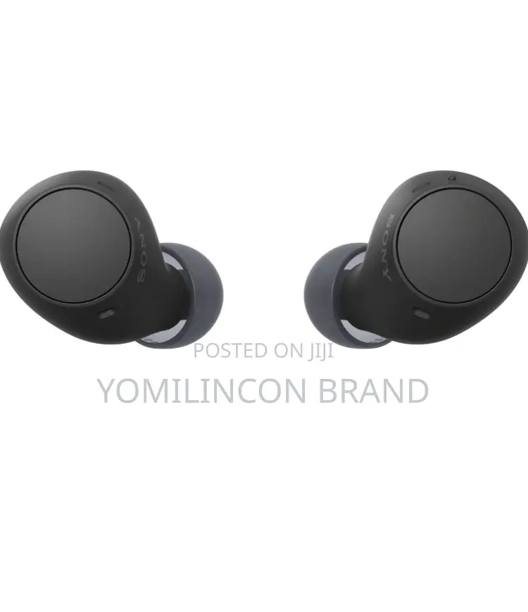 Sony Wf-C510 Truly Wireless in-Ear Bluetooth Earbuds