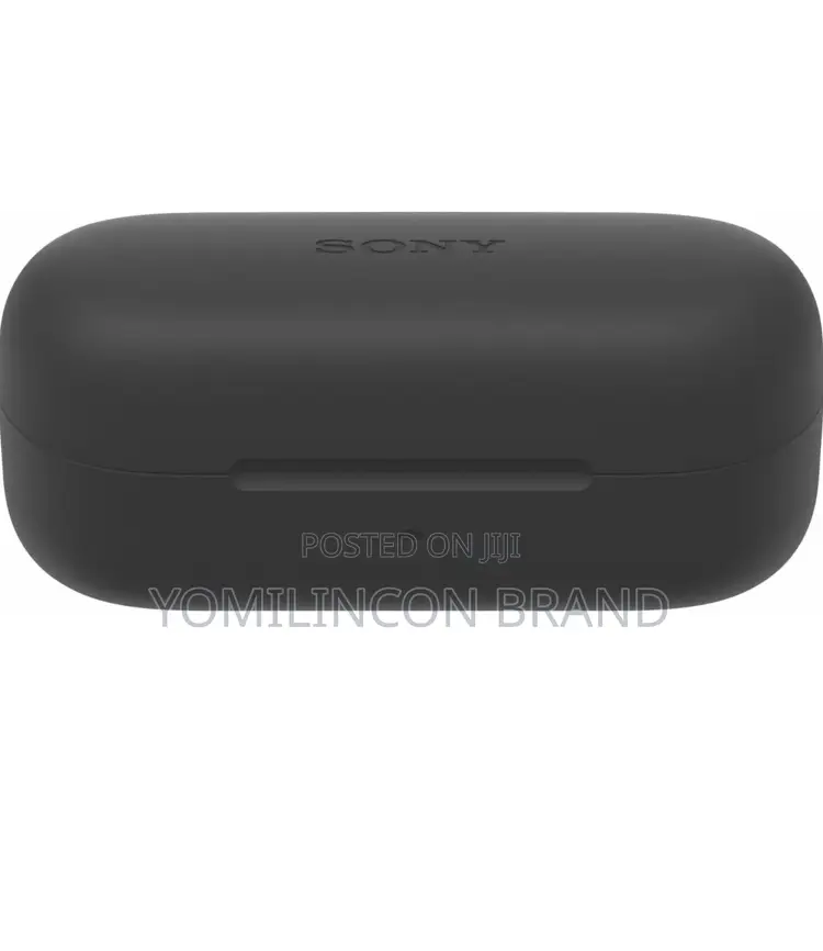 Sony Wf-C510 Truly Wireless in-Ear Bluetooth Earbuds