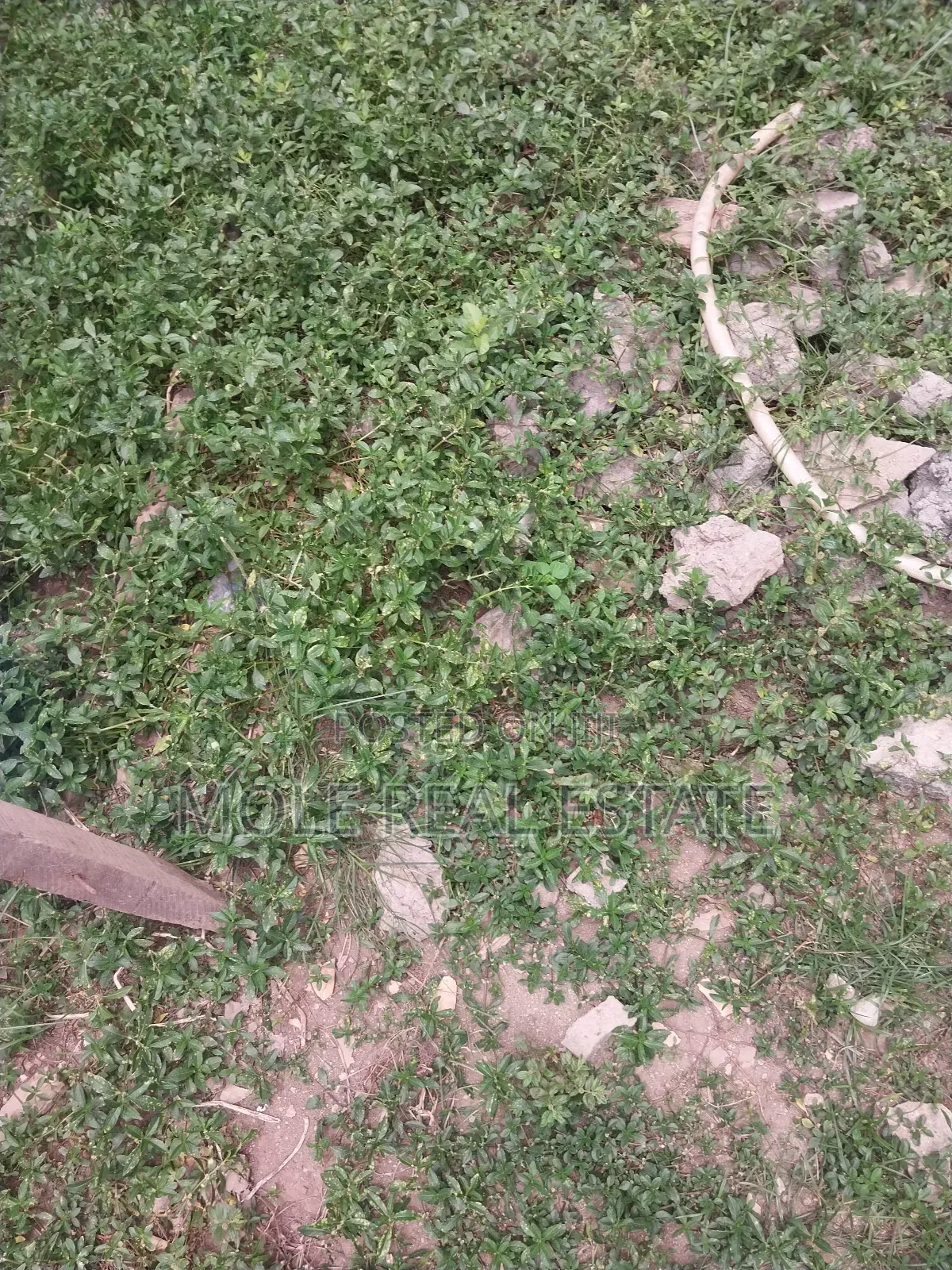50ft/100ft Ijegun-ijegemo New Rd 10% Deposit Instalmental