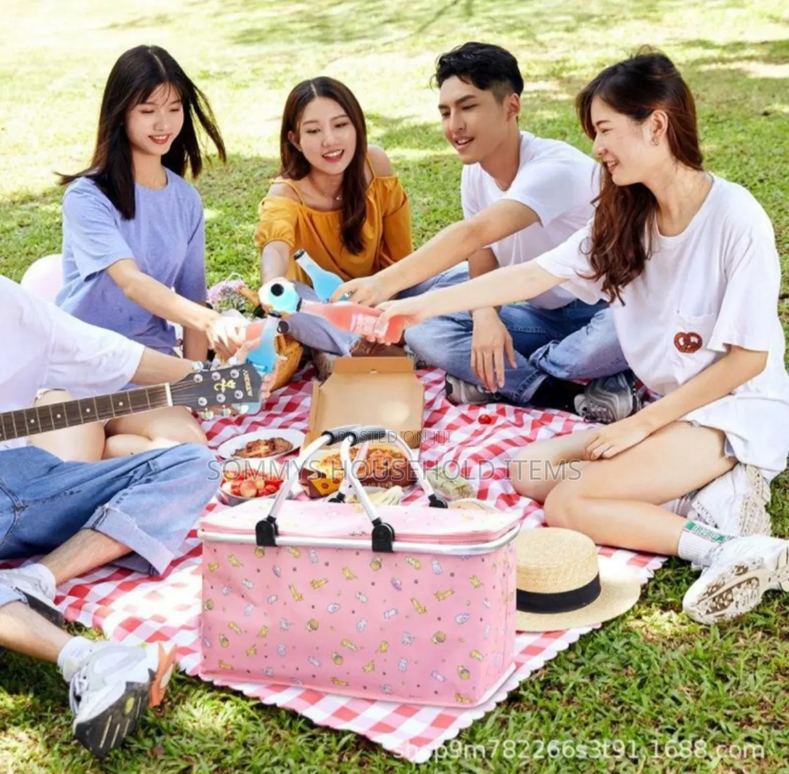 Foldable Insulated Picnic Bag / Picnic Basket