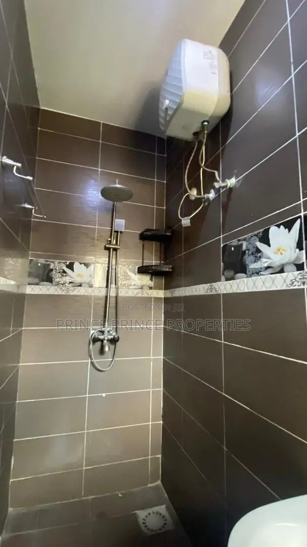 Furnished Mini Flat in Surulere for rent