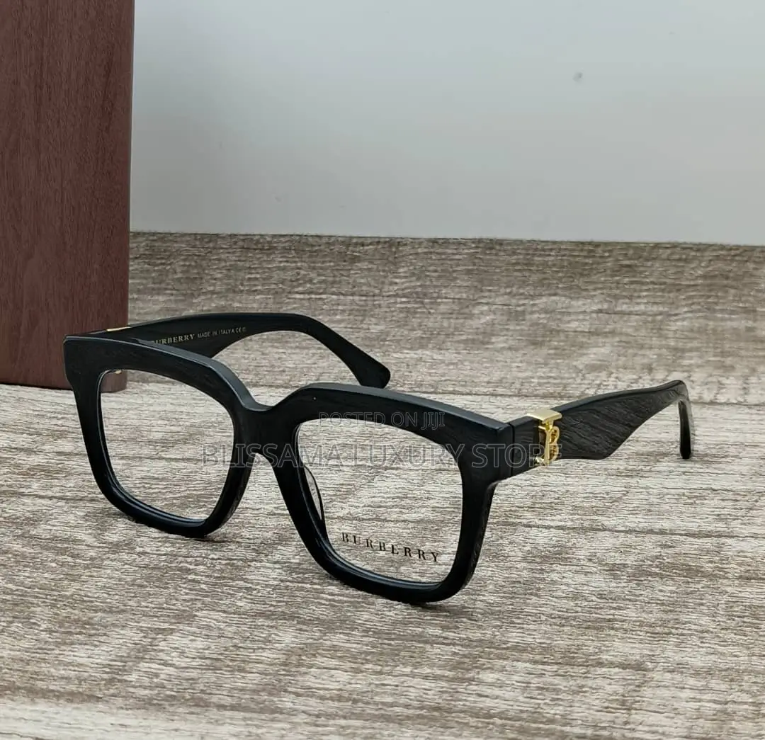 Police/Givenchy/Burberry/Mont Blanc/Versace Luxur Glasses