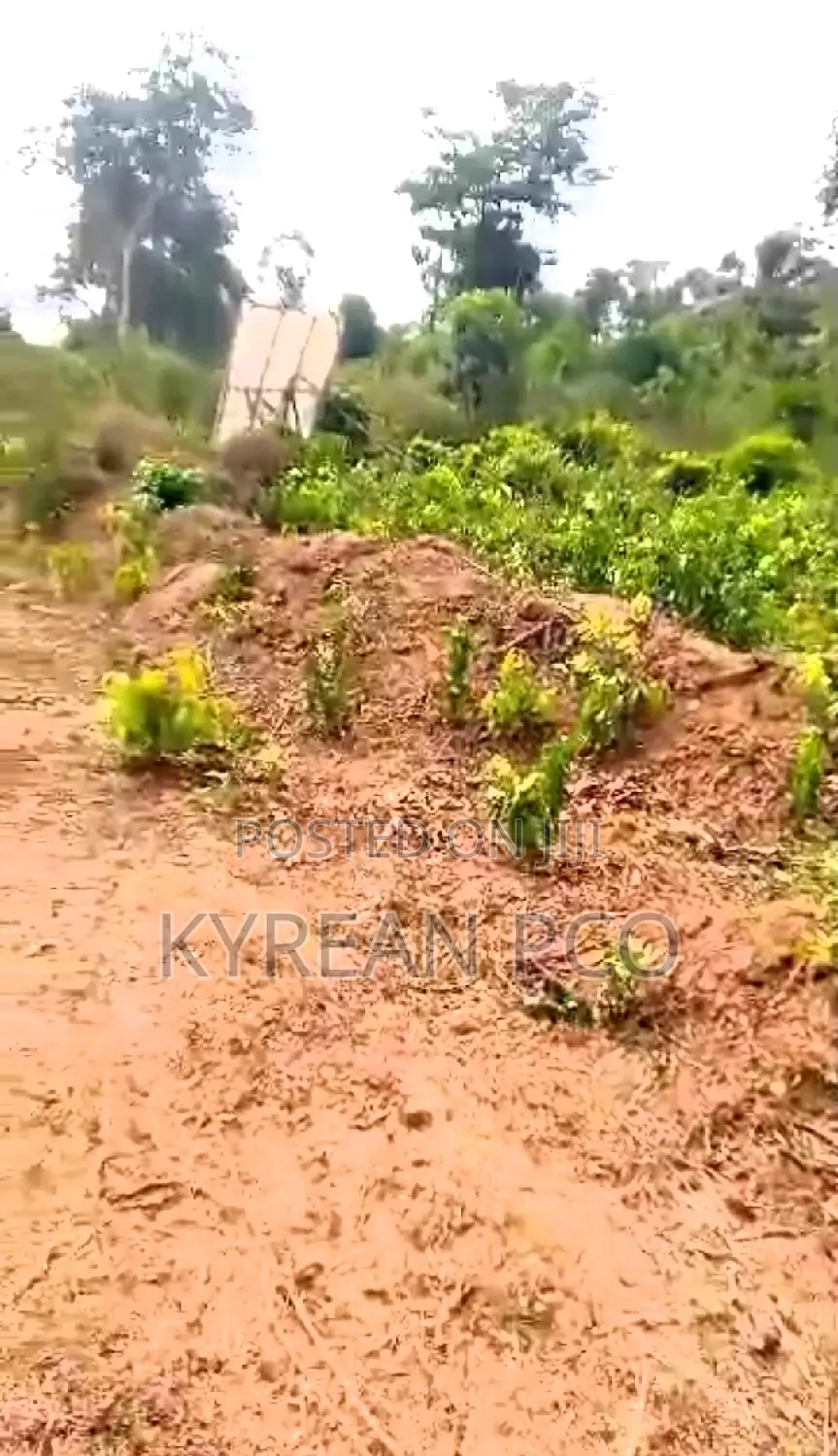 Acres and Plots of Land Available