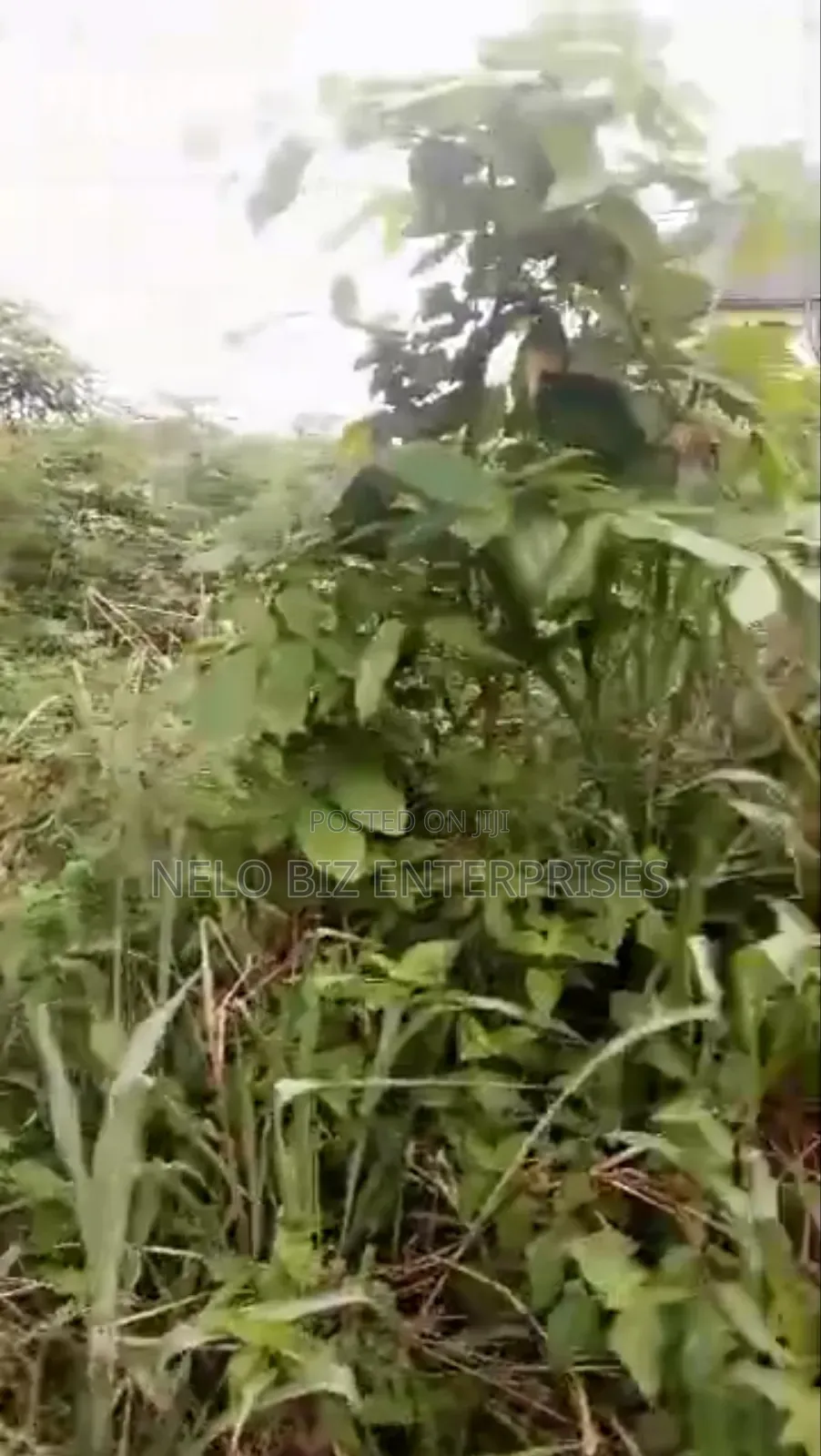 1 and Half Plot of Land for Sale