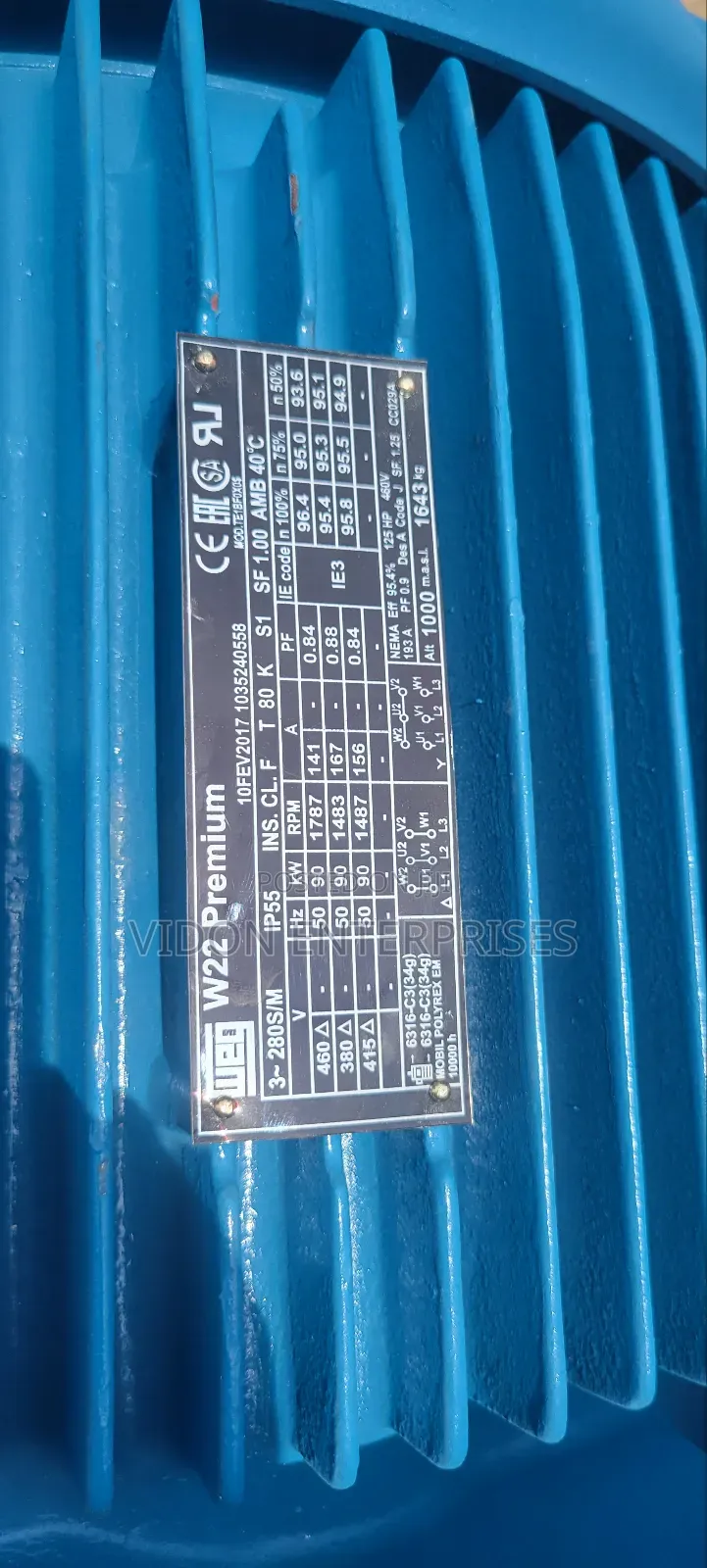 Weg Electric Motor