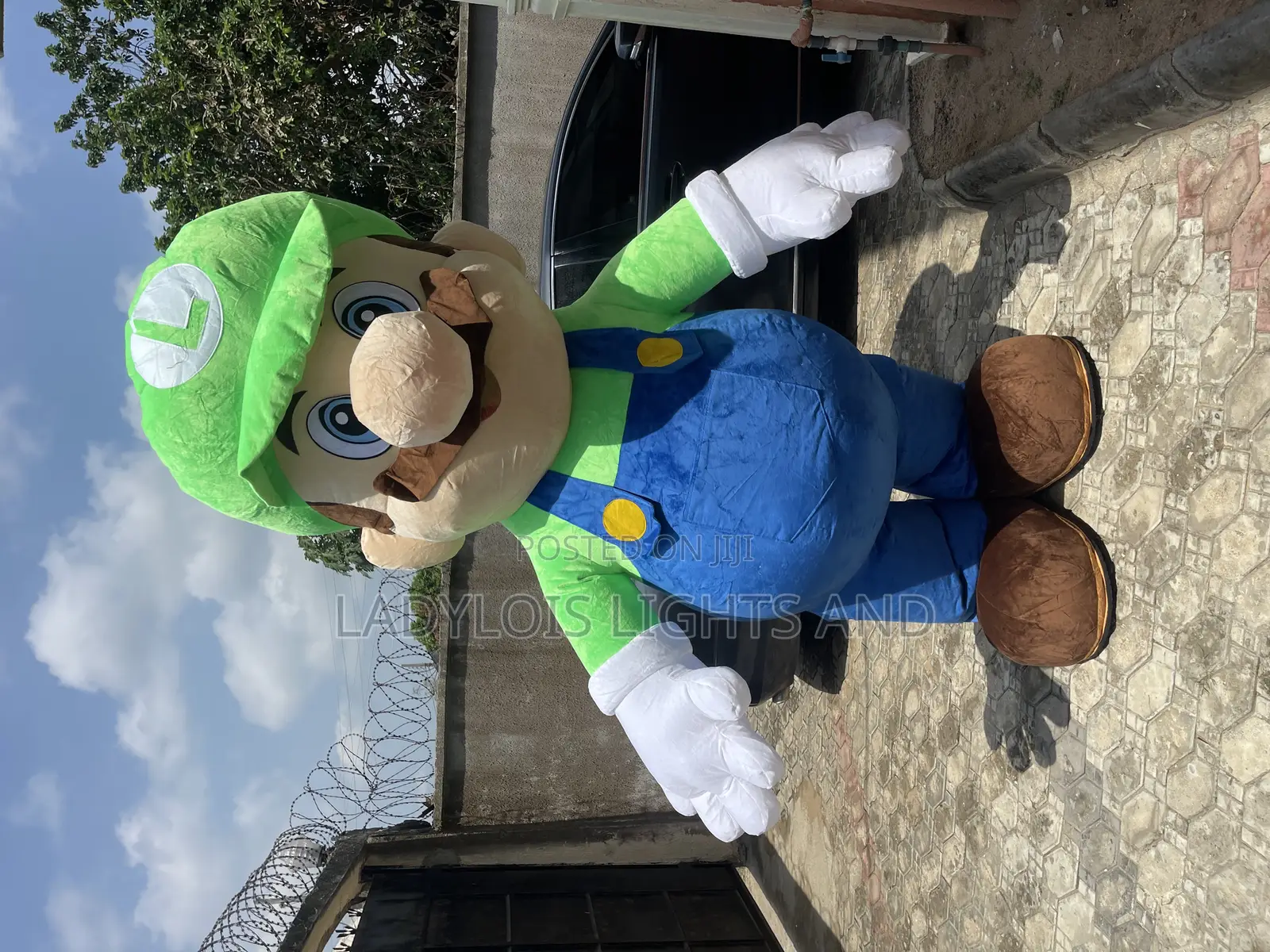 Mario Mascot Costume