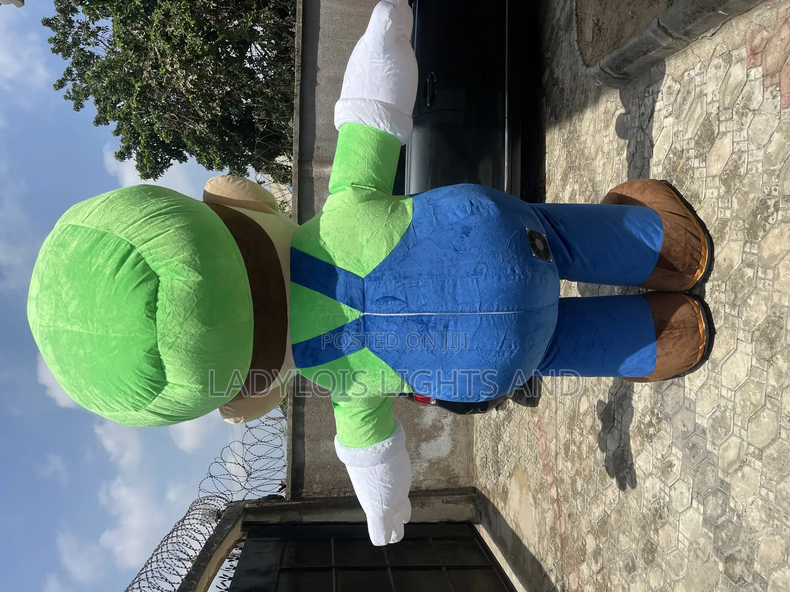 Mario Mascot Costume