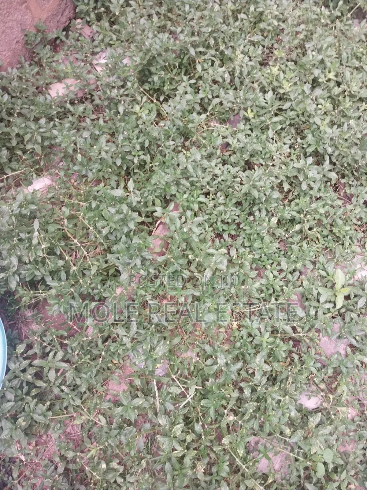 4 Flats 4 Sale Okeira Ogba Solid 2 Bedrooms