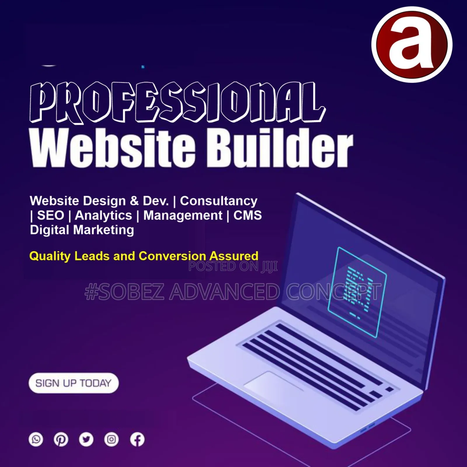 Professional Website Designers