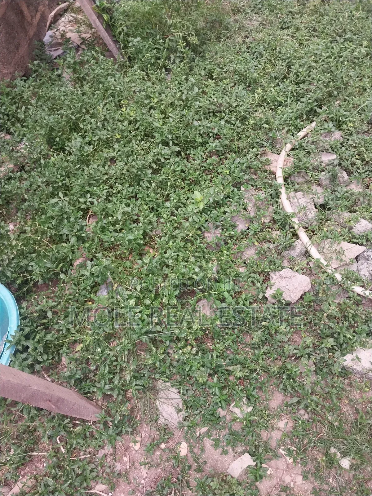 KLM of Verified Farm Land Odeda Ogun State