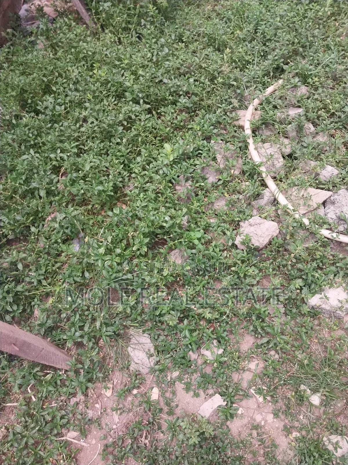 KLM of Verified Farm Land Odeda Ogun State