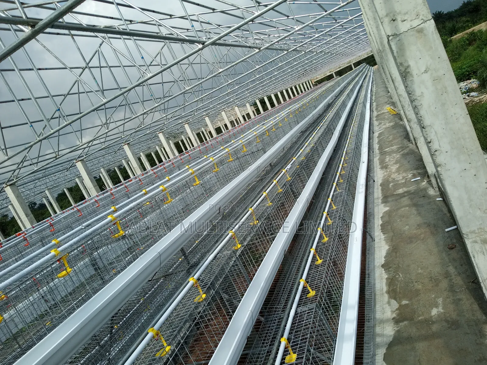 Poultry Cage for Famers