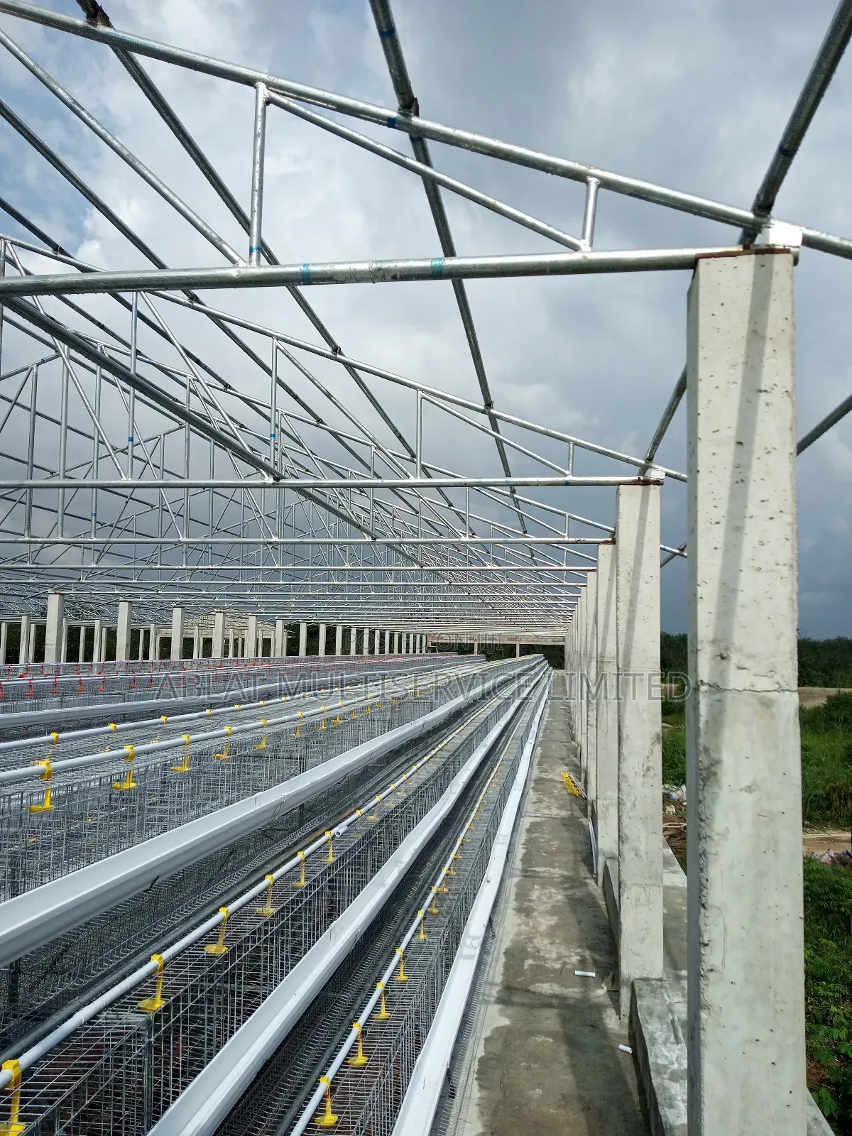 Poultry Cage for Famers