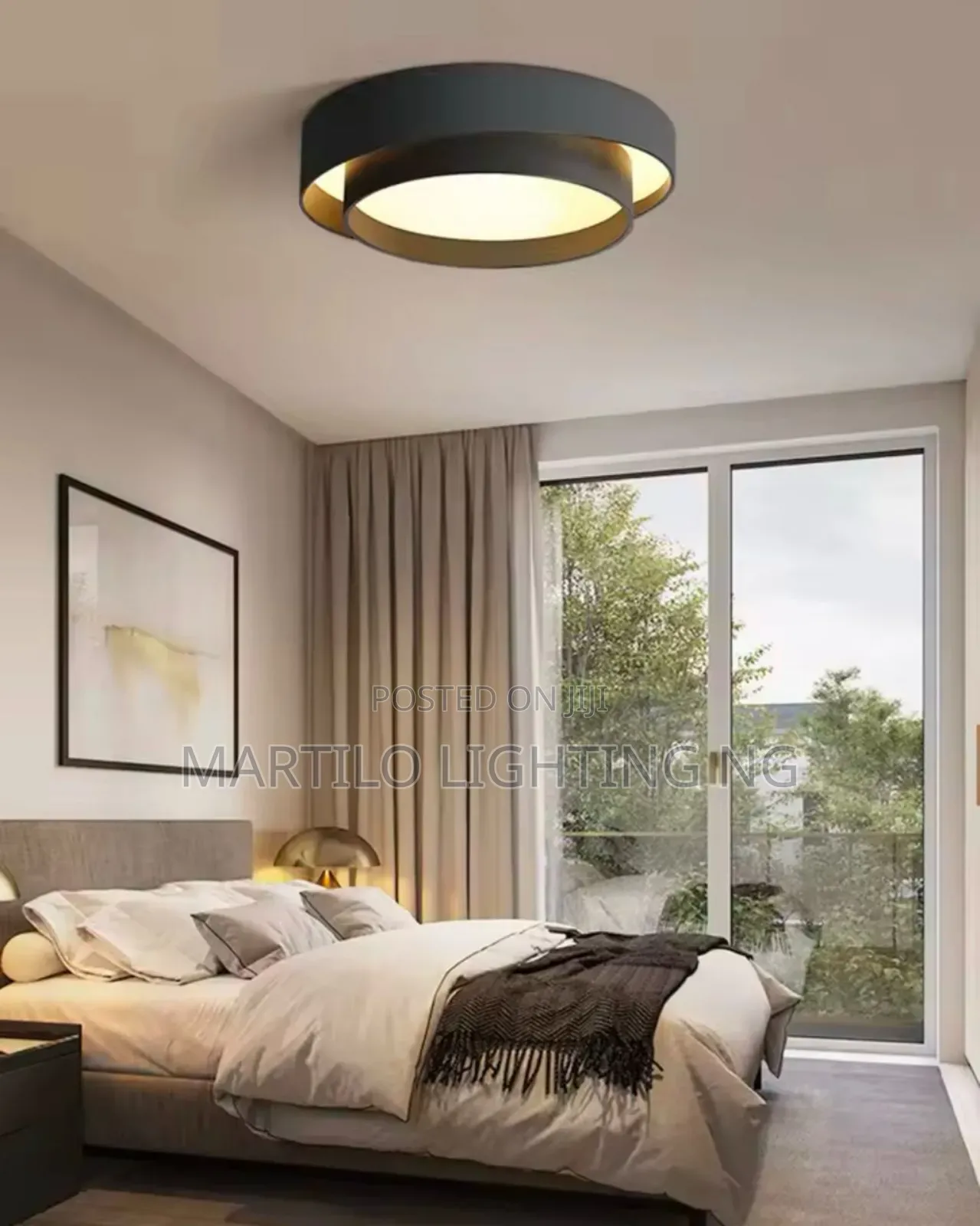 Beautiful Morden Ceiling Light