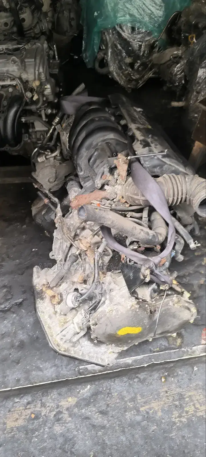 Direct Belgium Toyota Picnic Vibes Engine