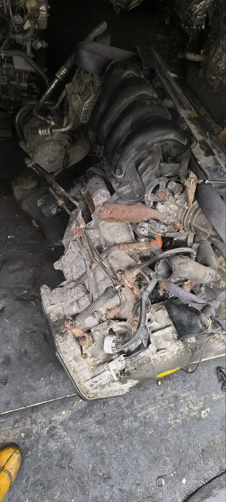 Direct Belgium Toyota Picnic Vibes Engine