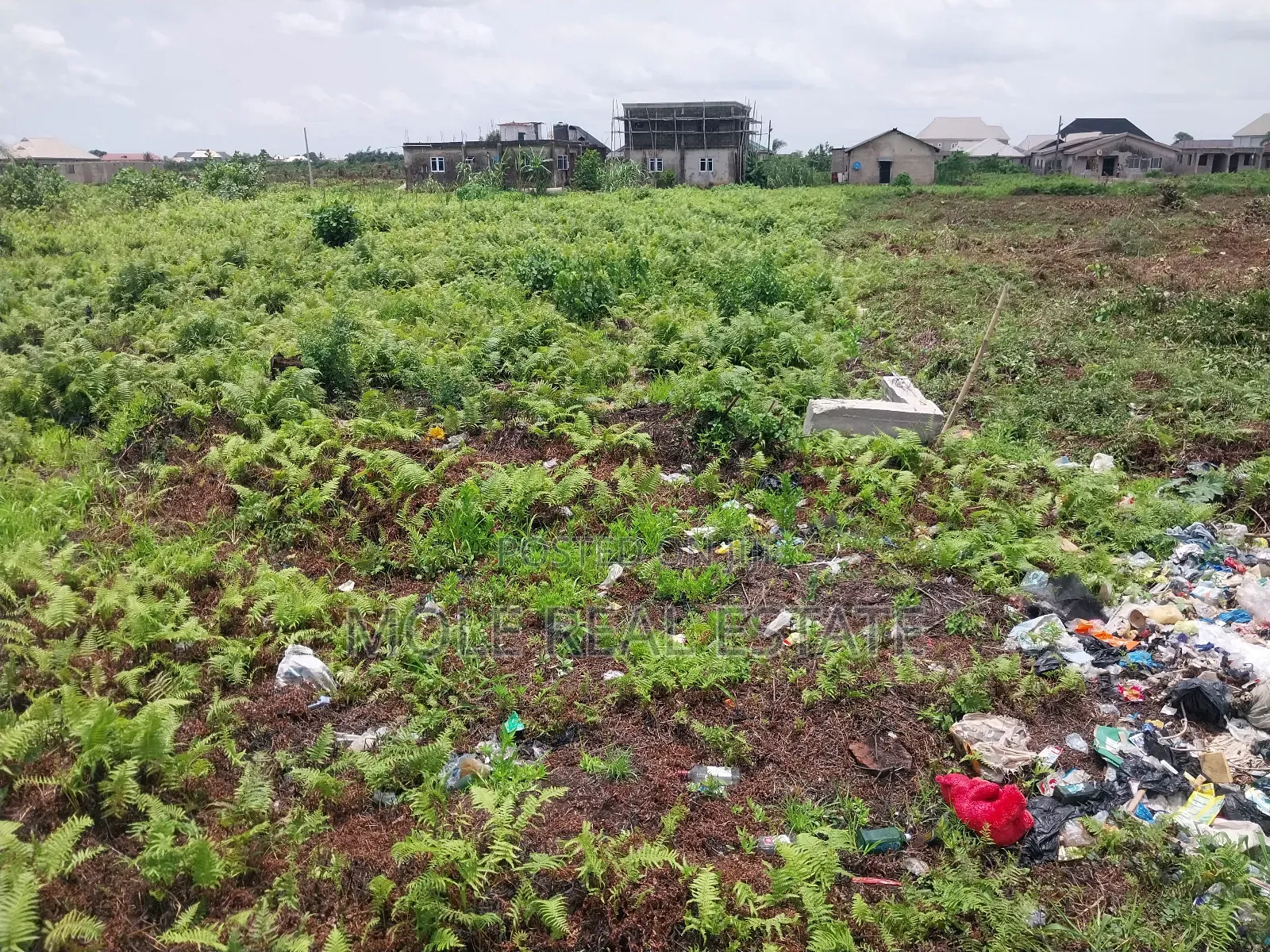 Genuine Farmland Bulk Now Selling Obafemi Owode Ogun State