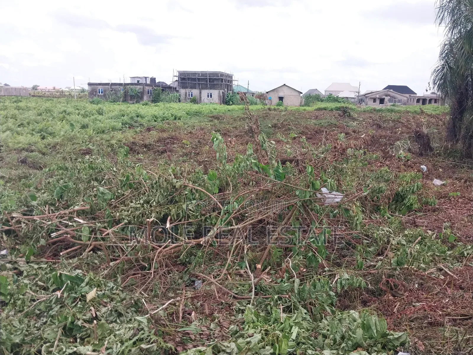 Genuine Farmland Bulk Now Selling Obafemi Owode Ogun State