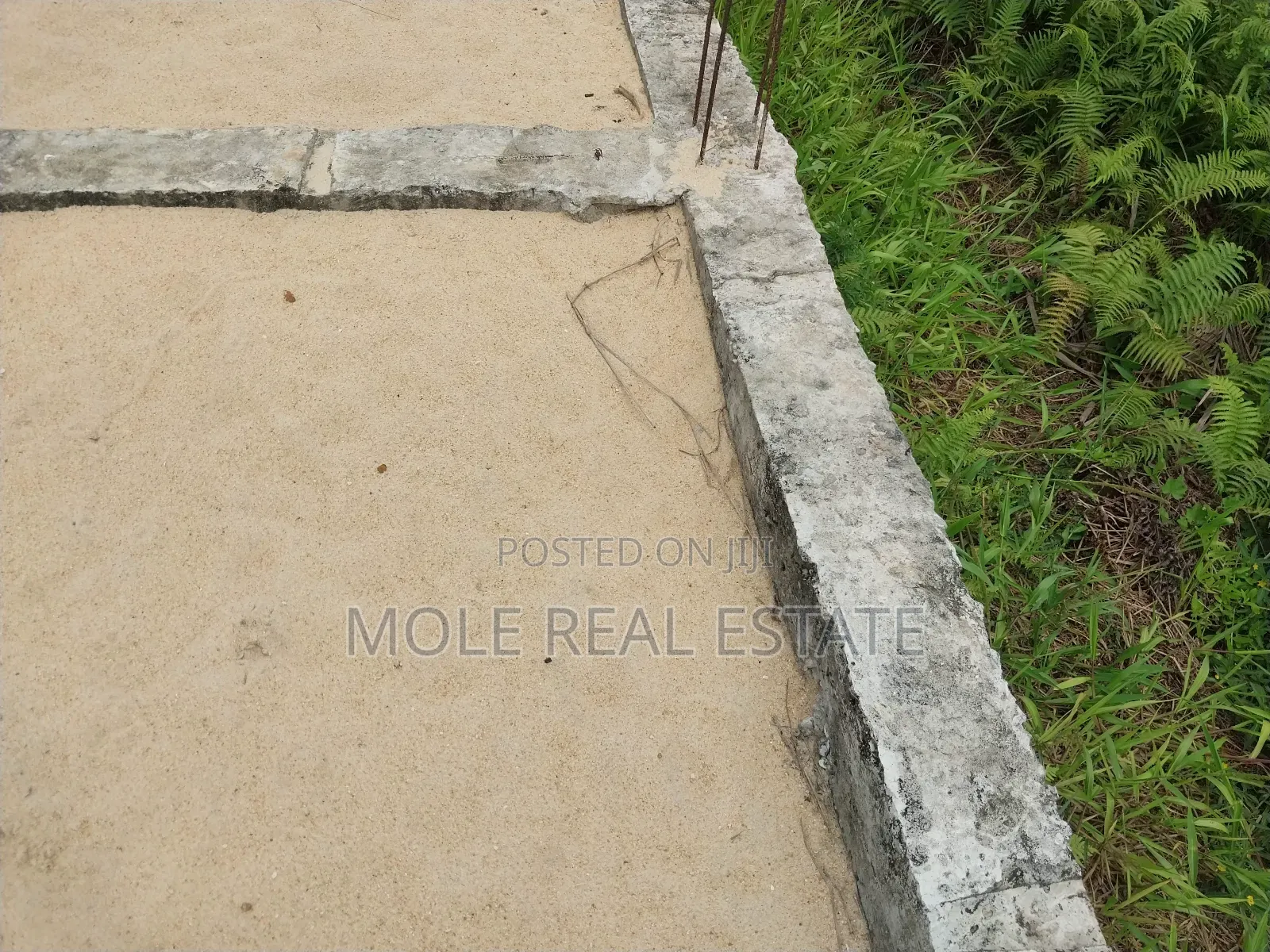 Distress Sale Half Plot Ijegun-Ijegemo New Rd