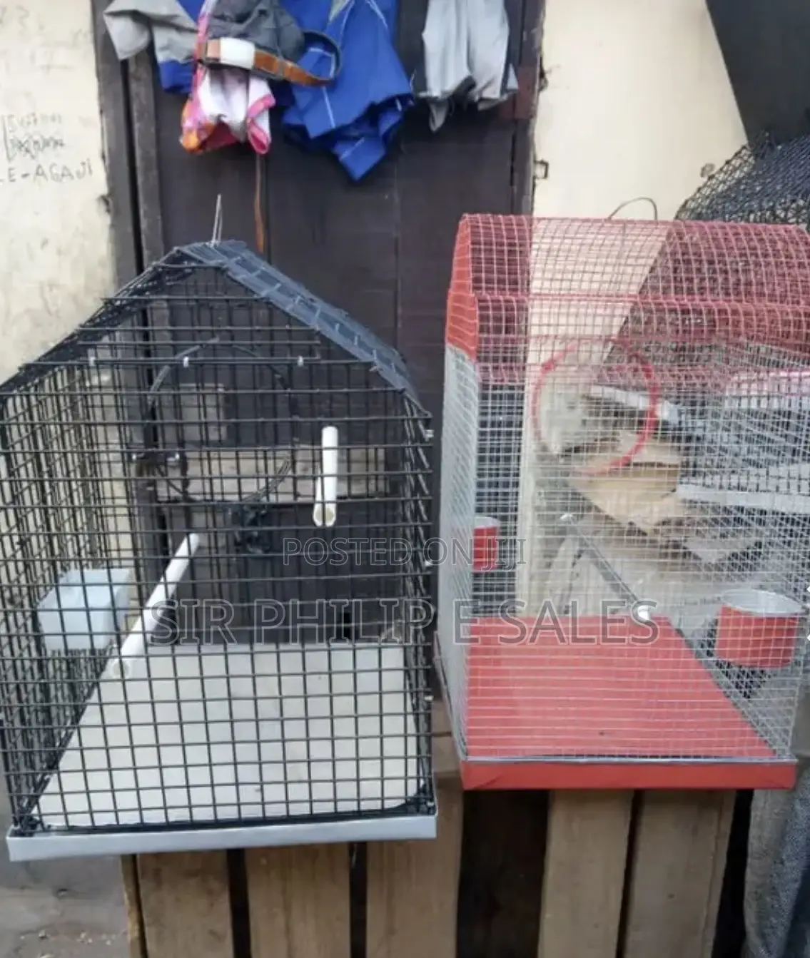 Well Built Local Cage for Your Parrot