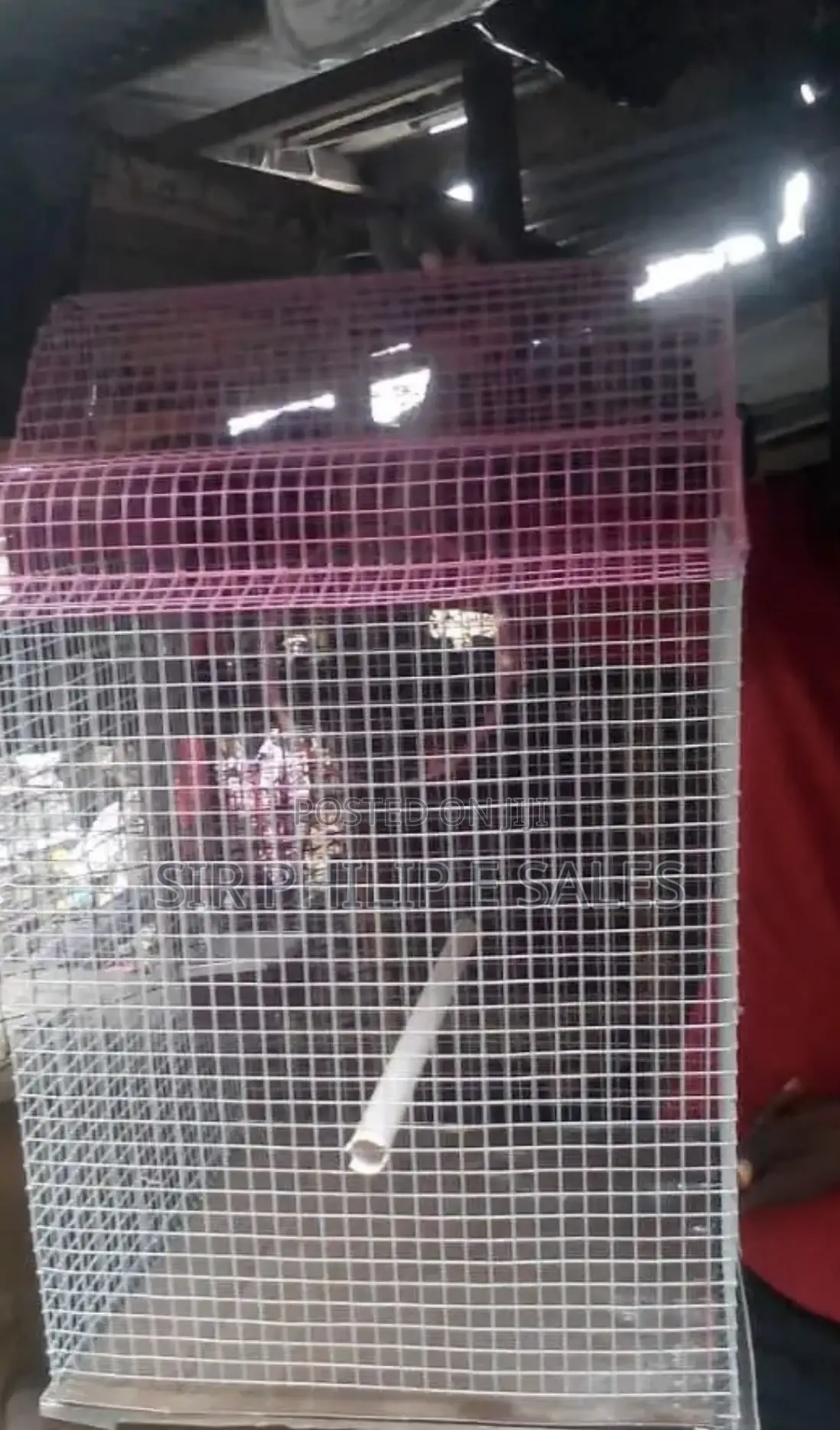 Well Built Local Cage for Your Parrot