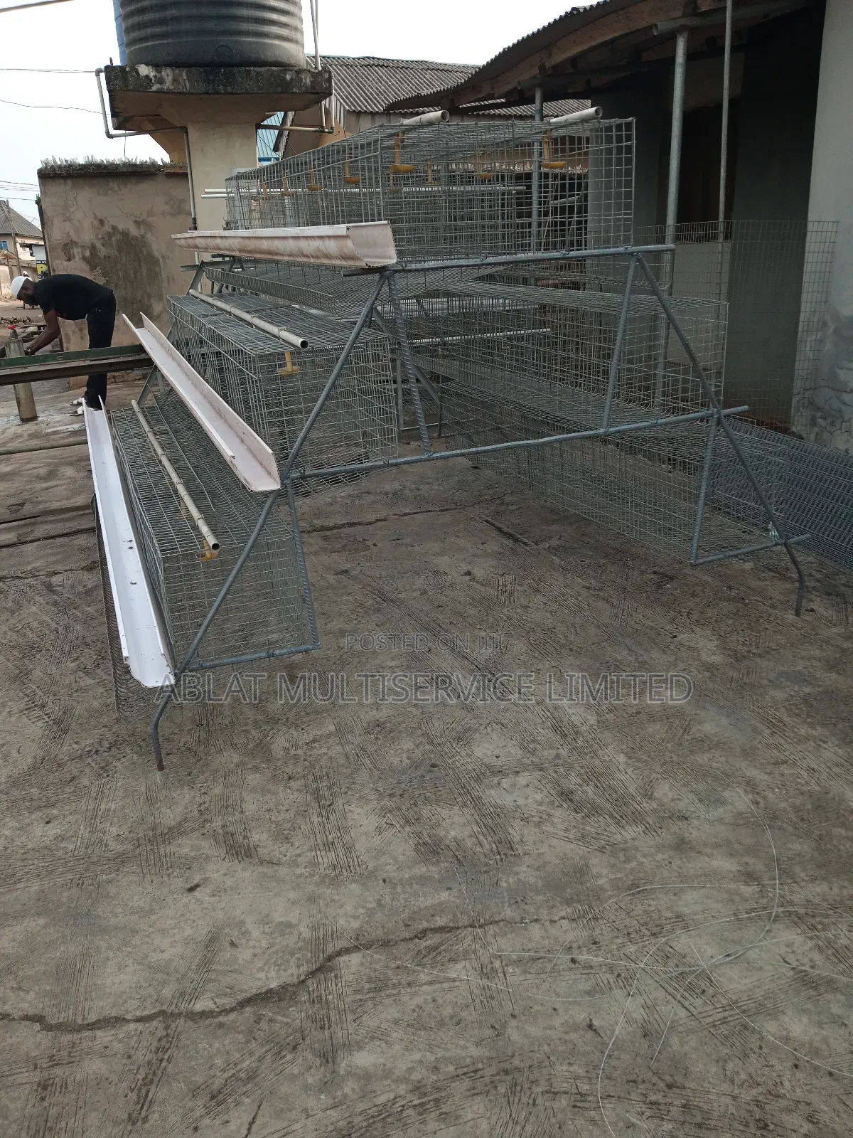 Semi Automated Battery Cages