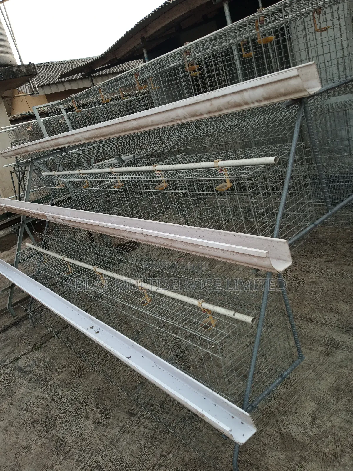Semi Automated Battery Cages