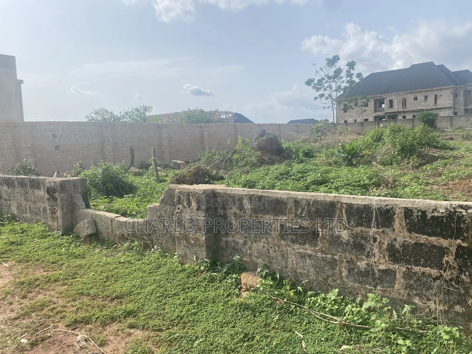 Very Genuine Fenced 50x100ft With C of O in Amagba 4 Sale