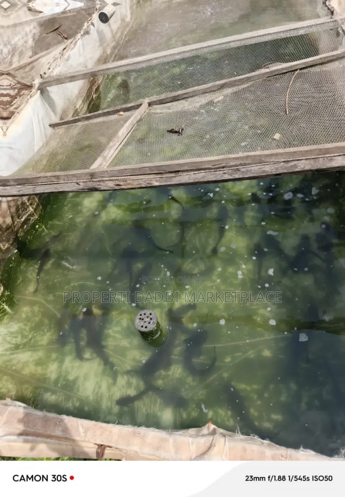 Existing Fish Farm for Sale at Command Area of Ipaja