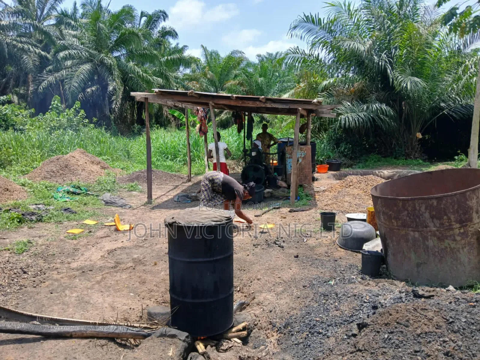 Palm Plantation Registered Survey, Deed, Family Receipt