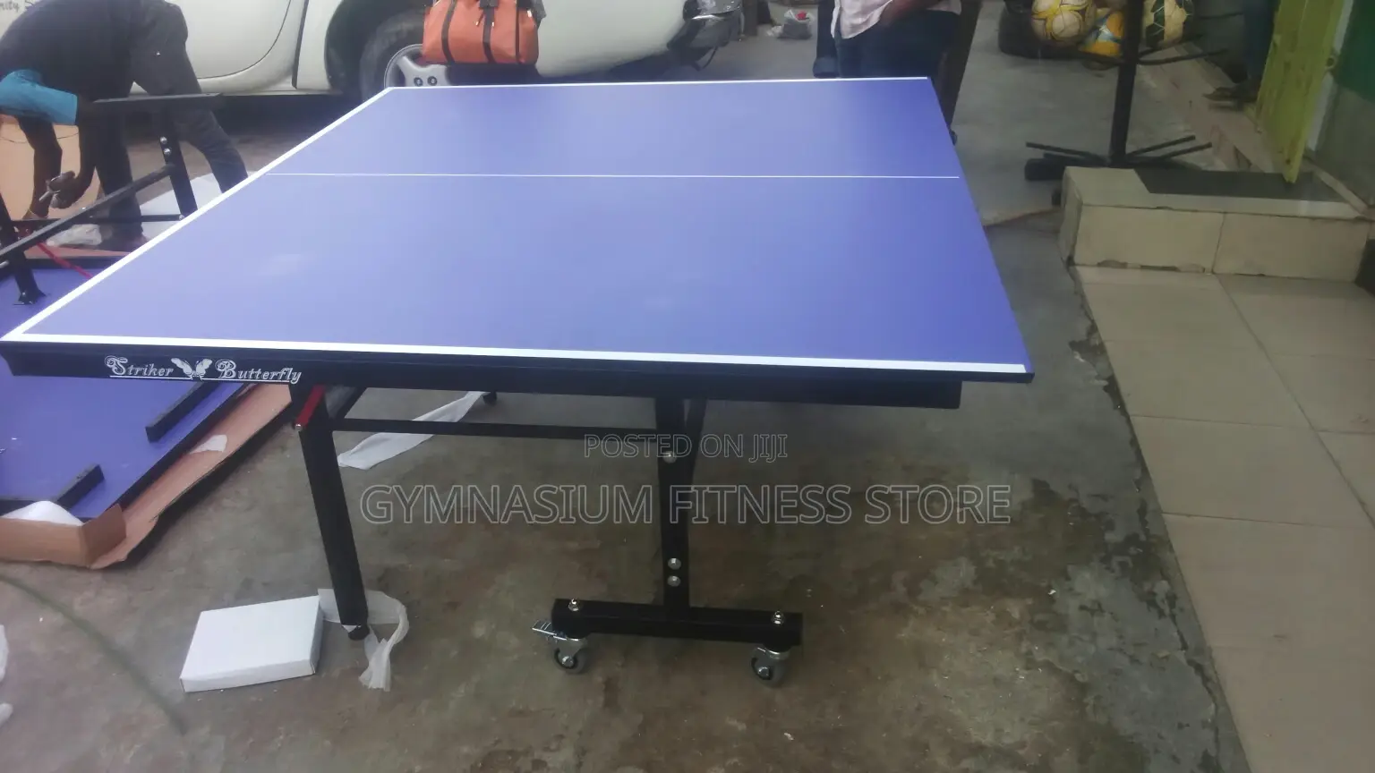 Striker Butterfly Indoor Tennis