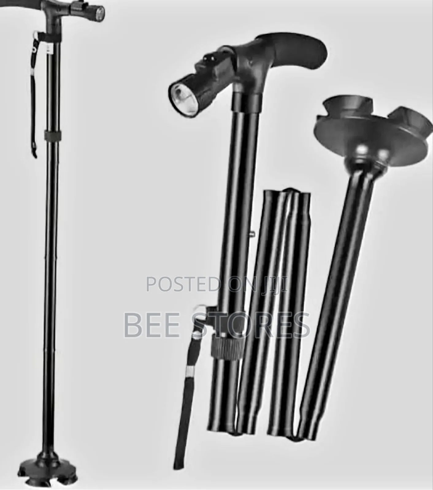 Trusty Cane Walking Stick