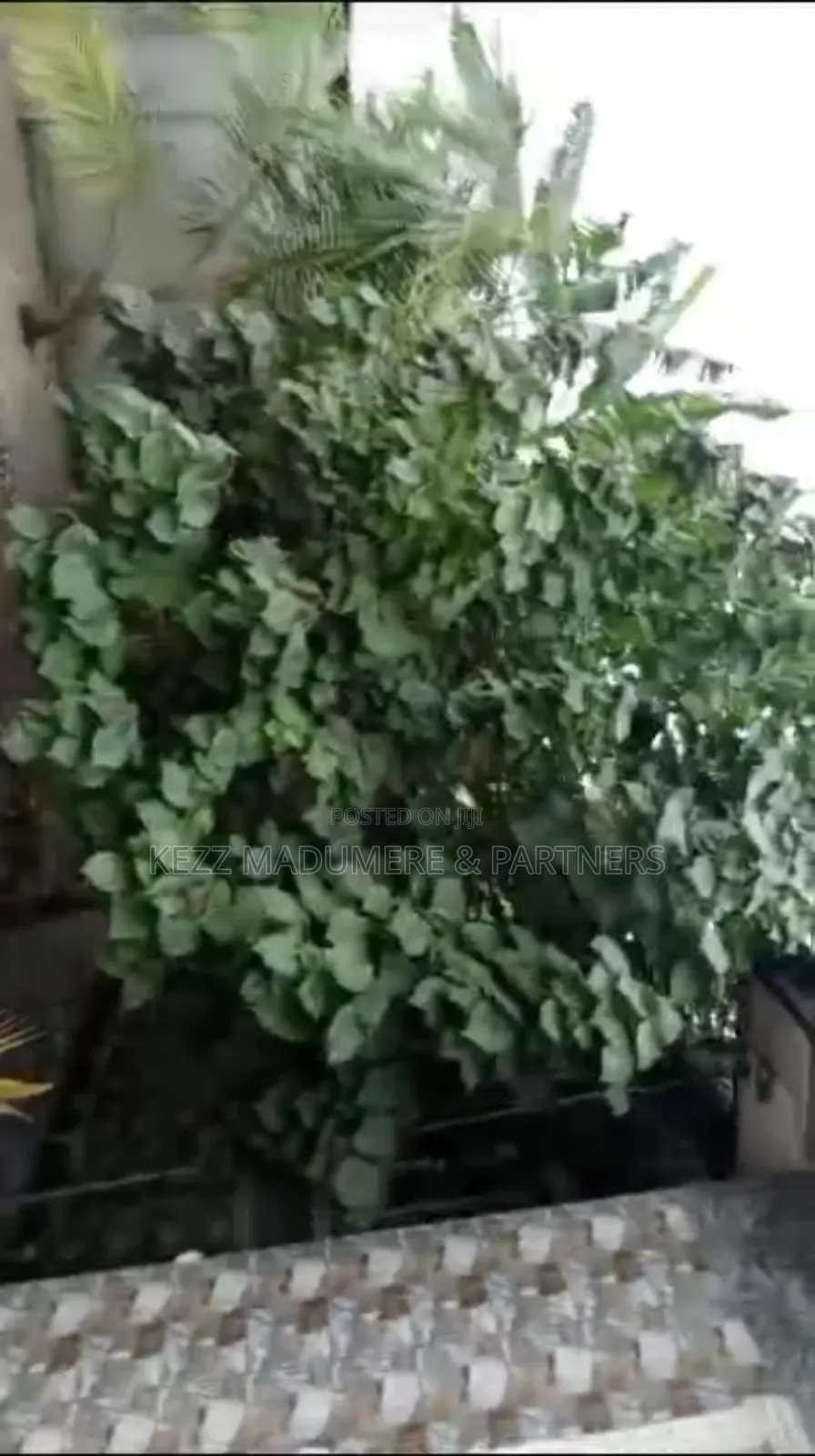 3bdrm Bungalow in Omuda , Aluu , Port for sale
