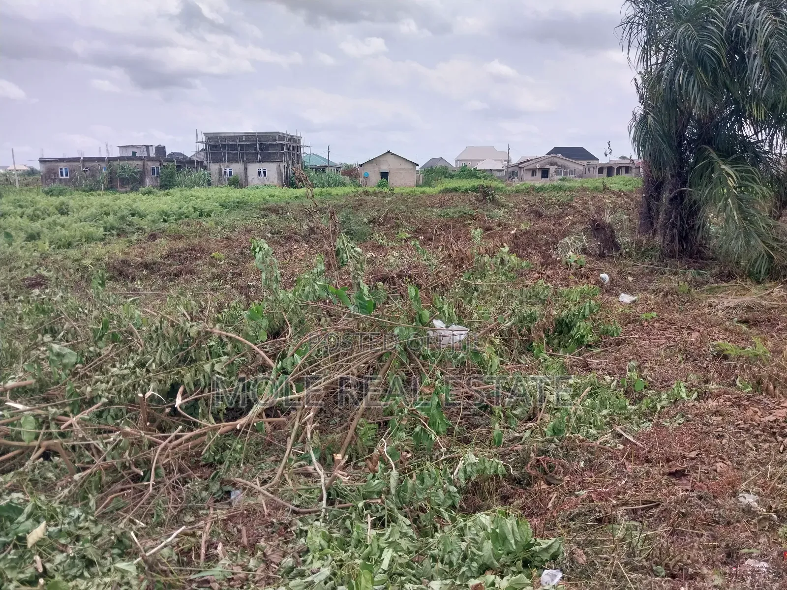 50 Acres Mixed Use Verified Farmland Lafenwa Ogun State