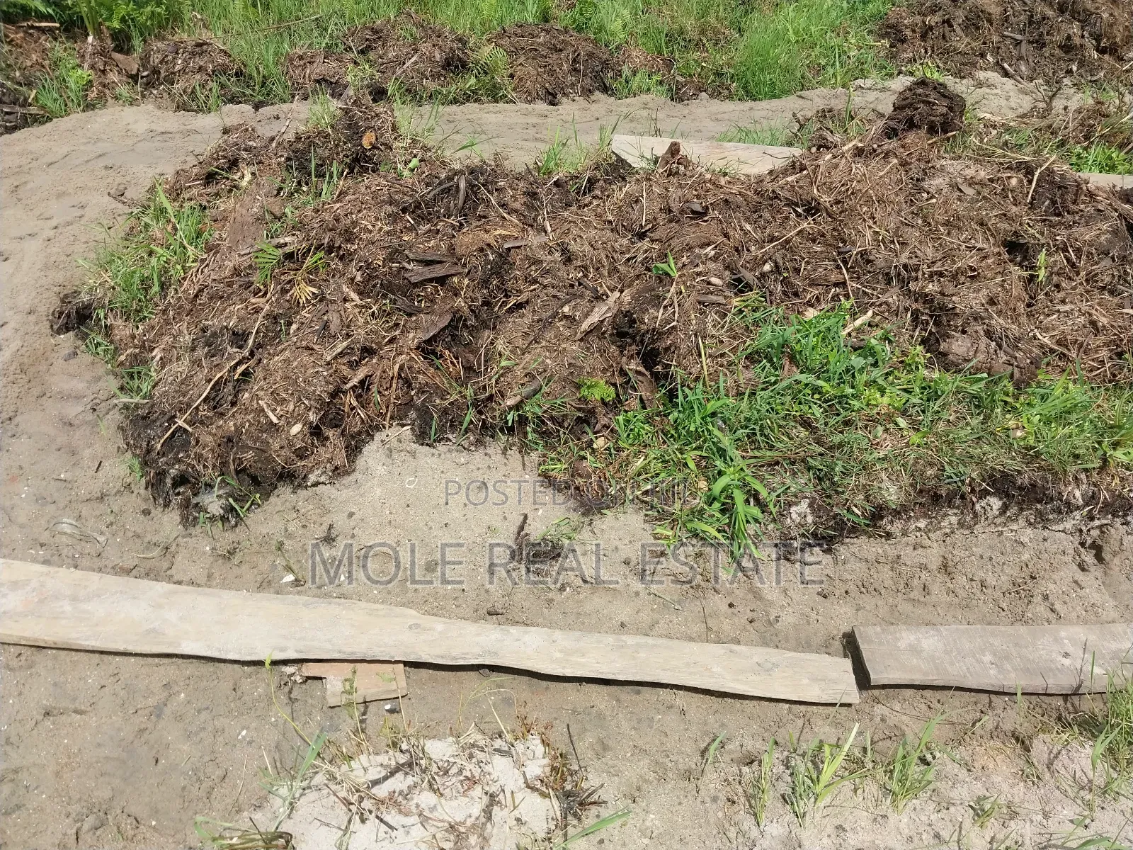 50 Acres of Fertile Farmland 4 Sale Odeda Ogun State