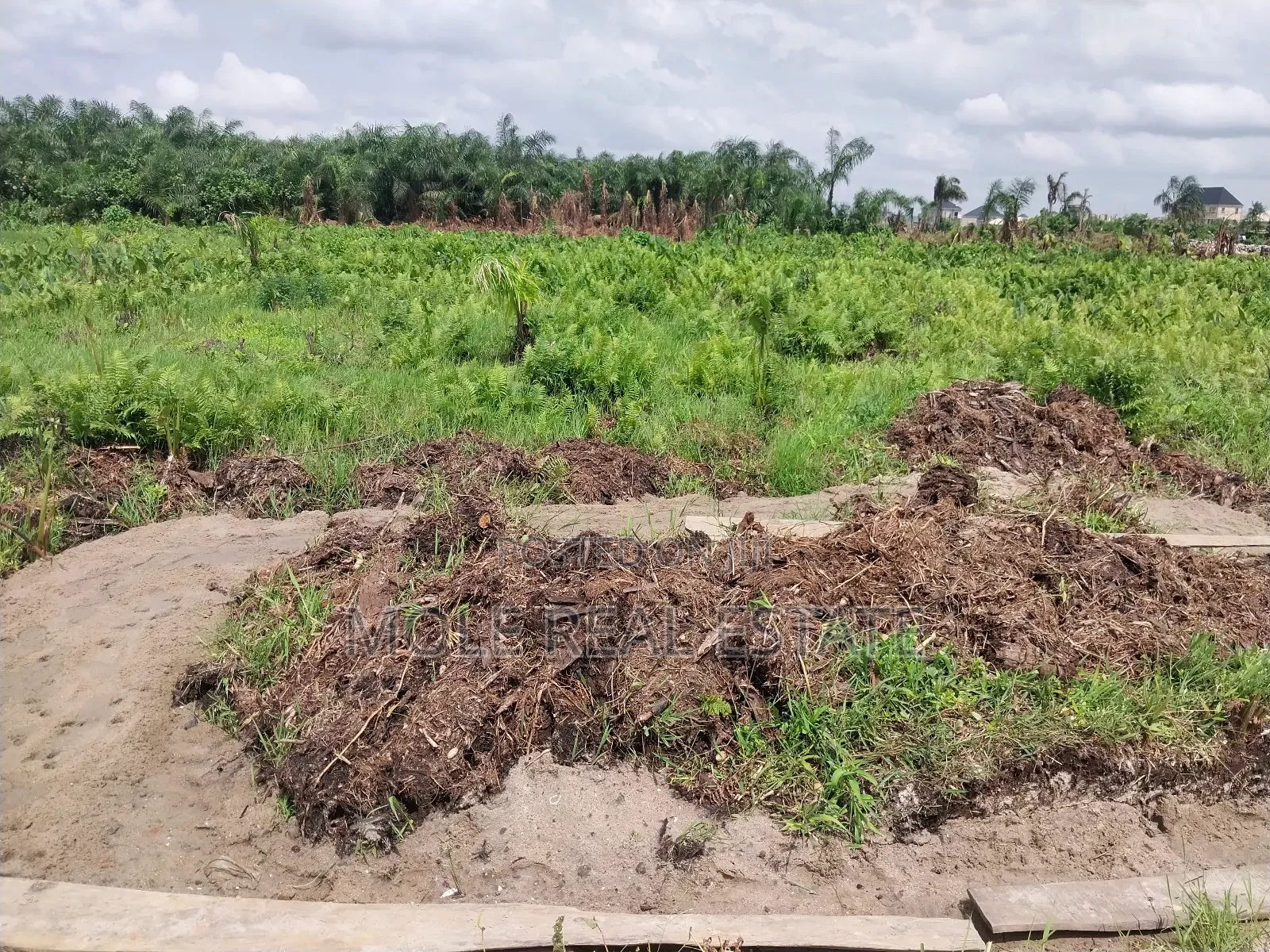 Acres of Farmland Now Selling Obafemi Ogun State