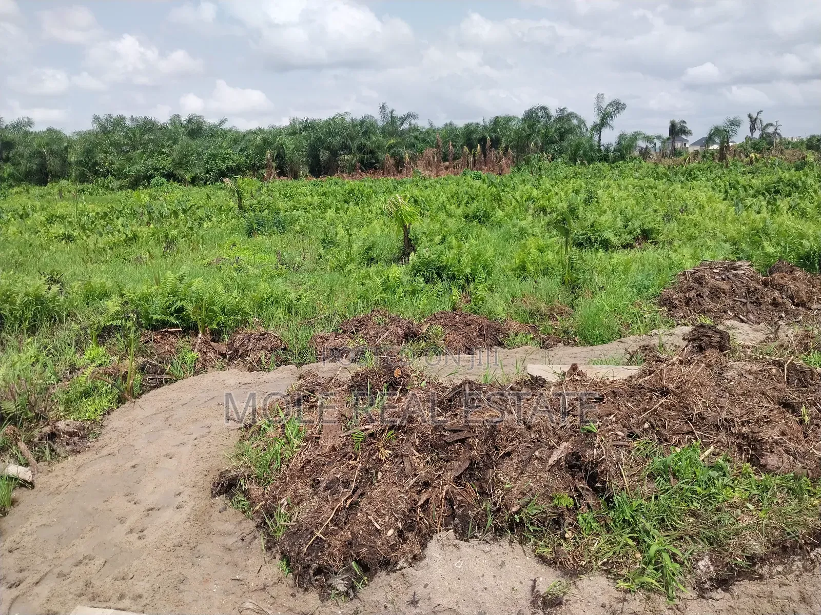 Acres of Farmland Now Selling Obafemi Ogun State