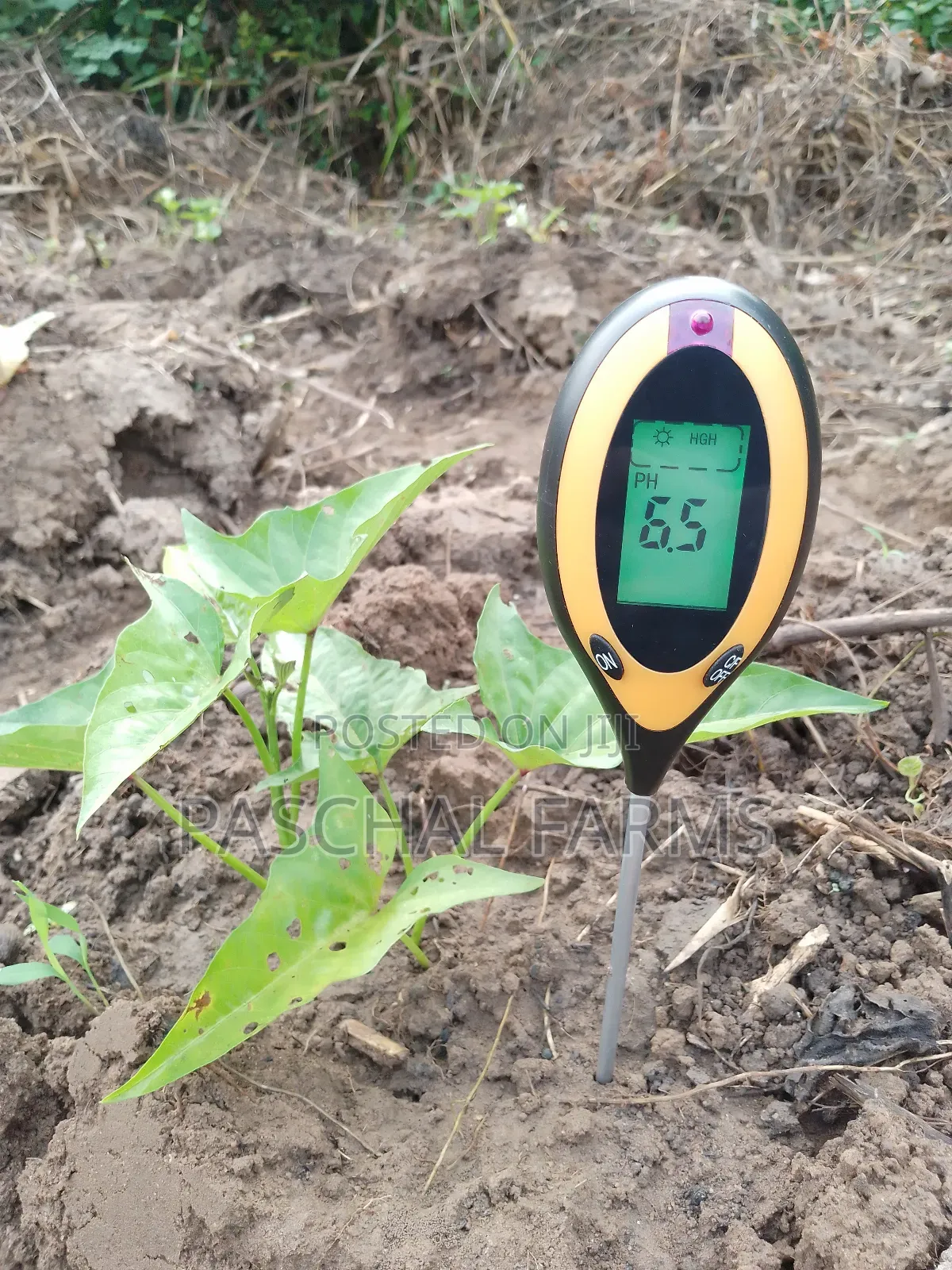 Farming Consultant
