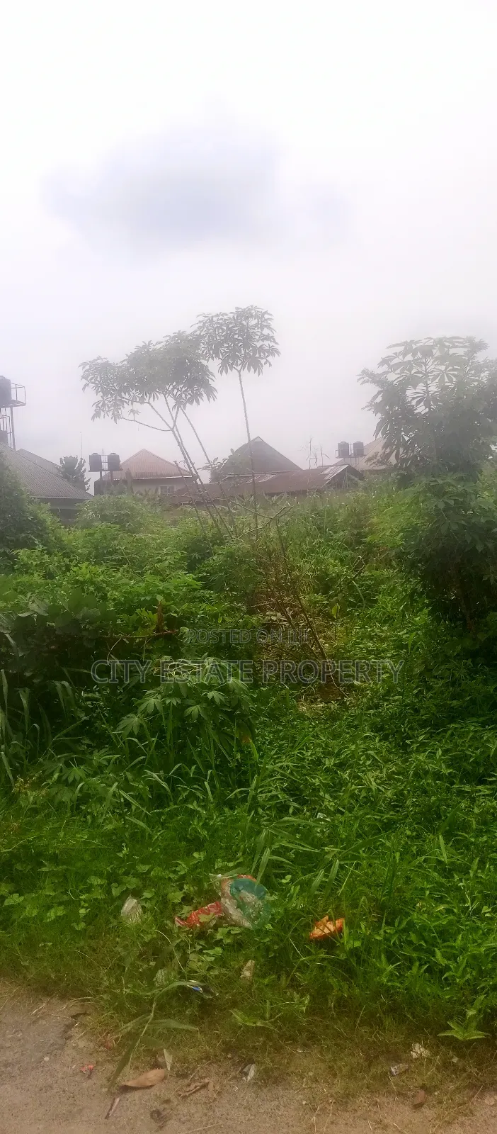 One Plot of Land for Sale in Eneka