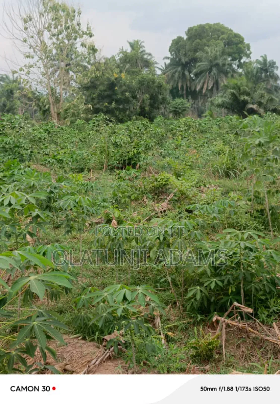 100acres of Farmland at Wakajaye/Gbongan