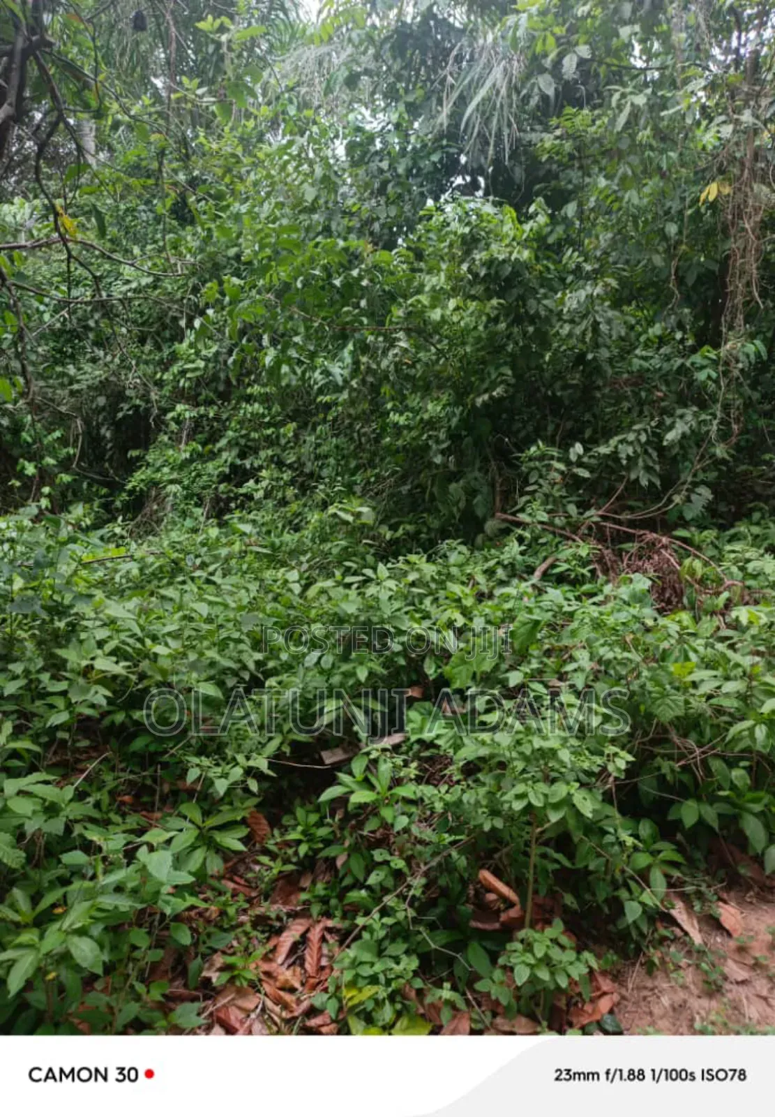 100acres of Farmland at Wakajaye/Gbongan