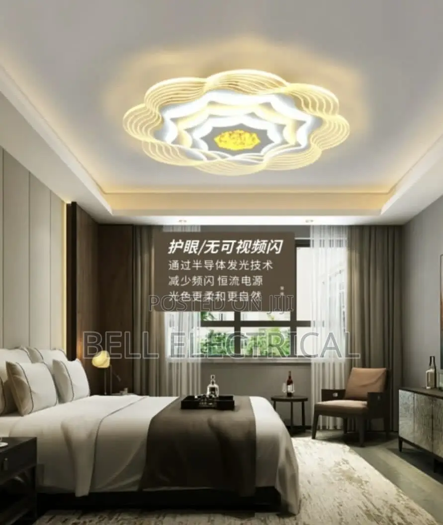 New Lamp in the Living Room Led Ceiling Lamp